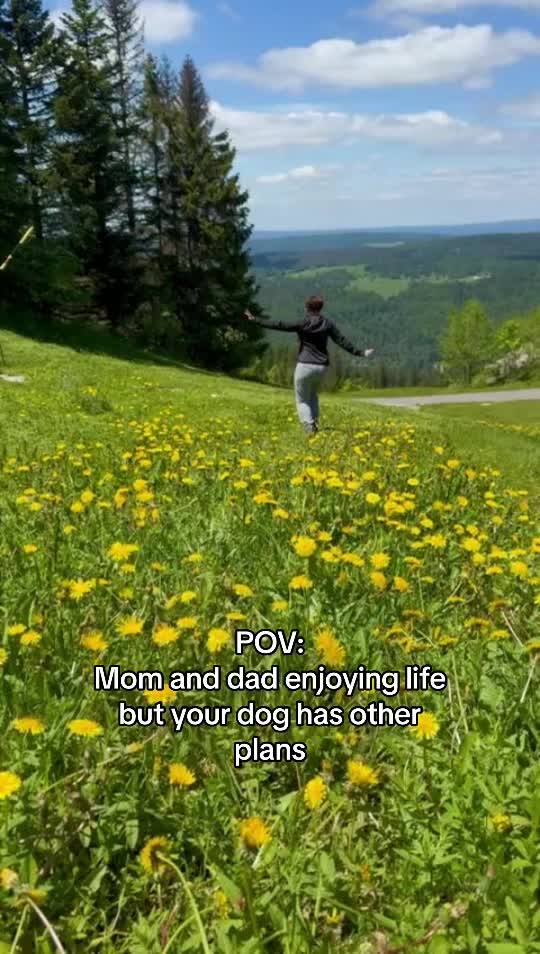@Julia