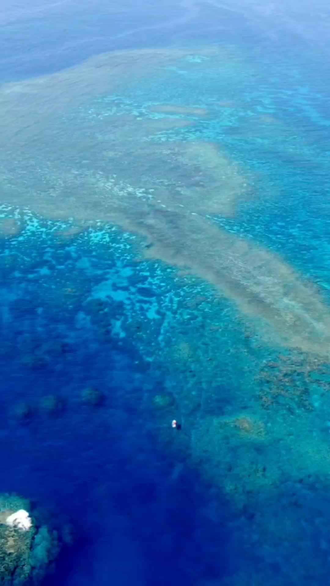 @Whitsunday_Wet_Stuff
