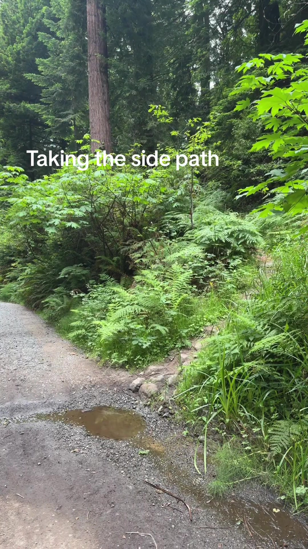 @Evin