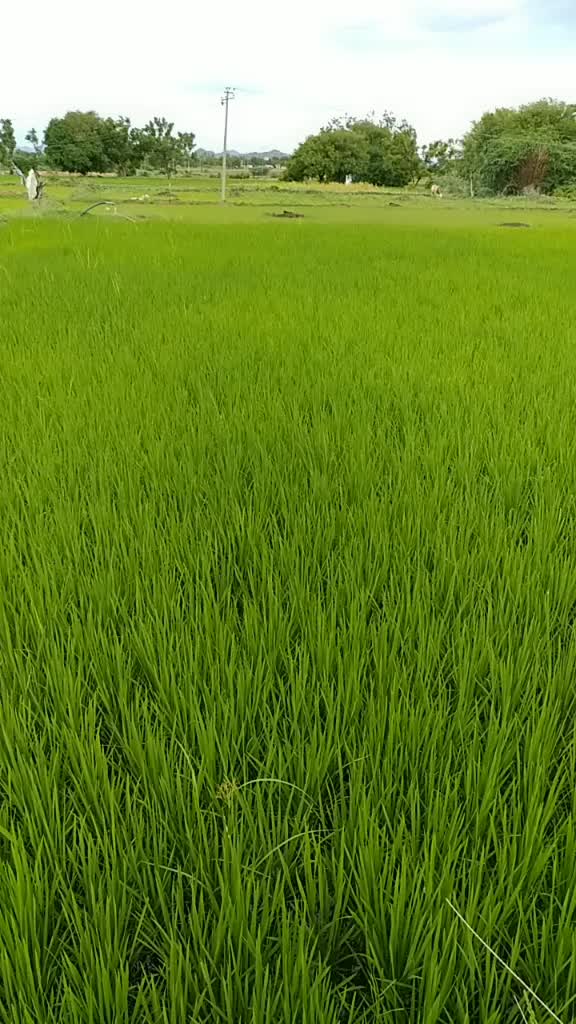 @G.Raju