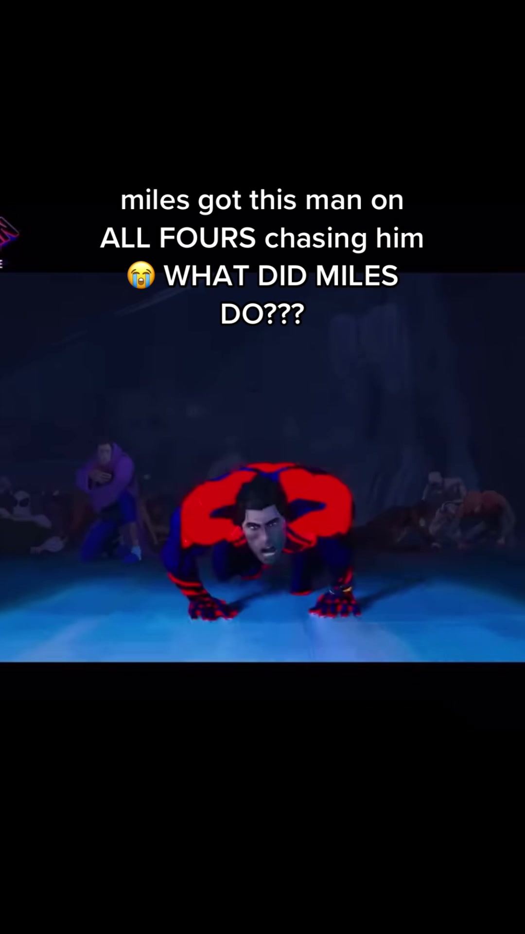 @miles molasses