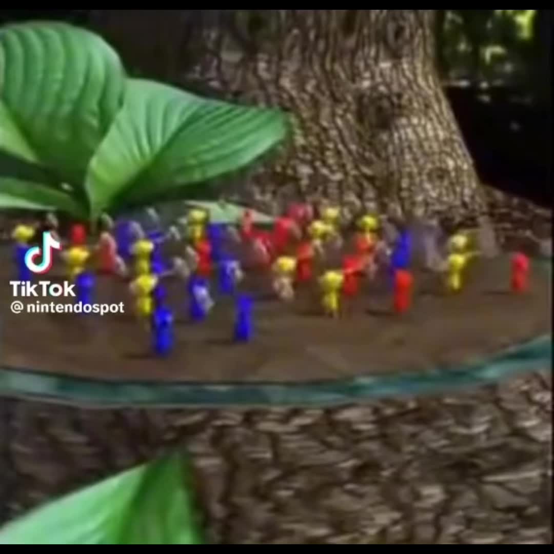 @Editor