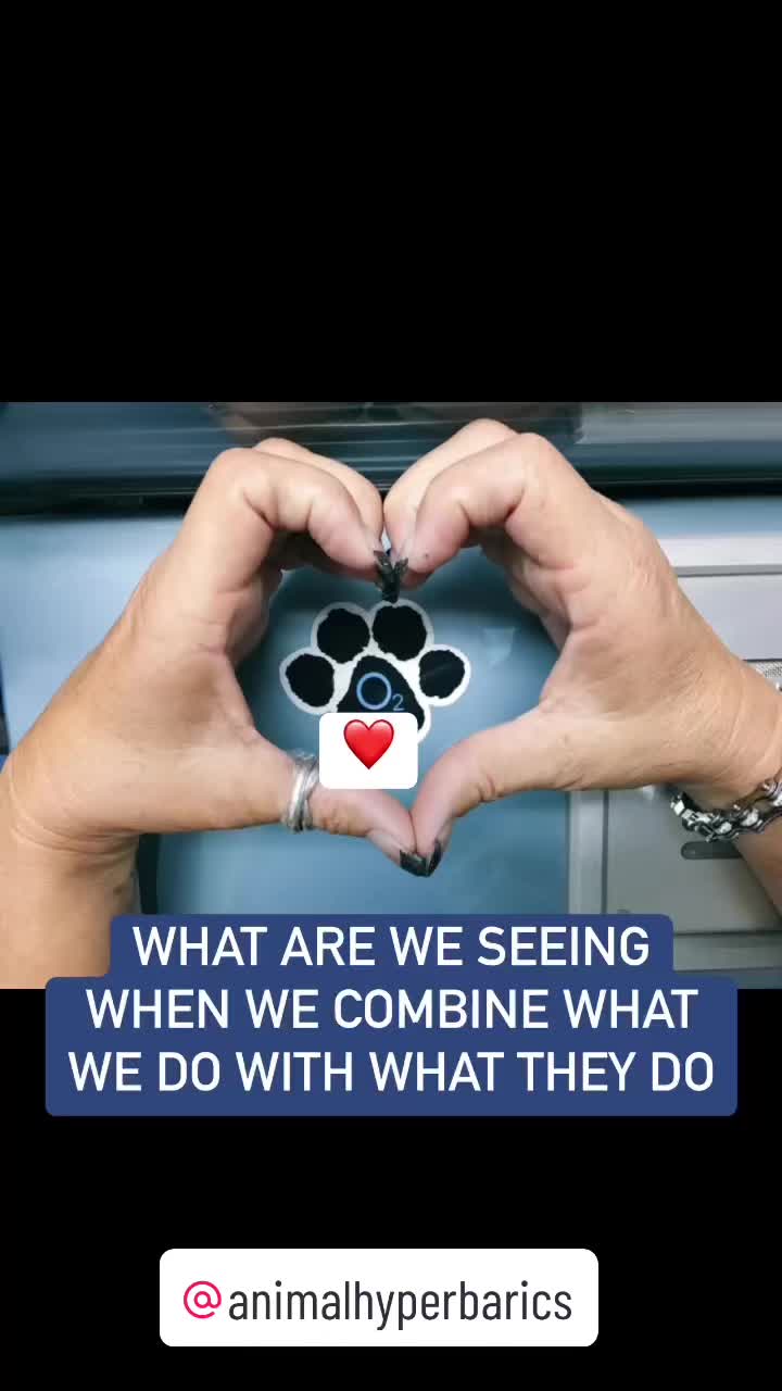 @#animalhyperbarics