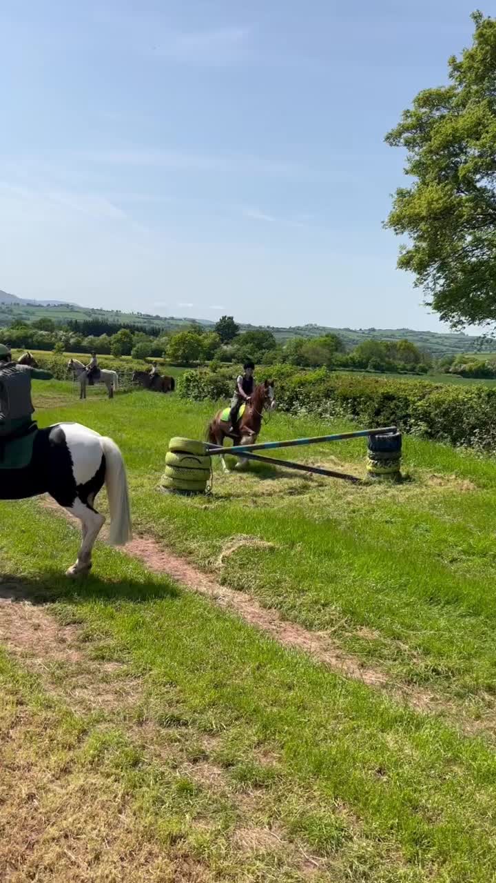 @Horses <3