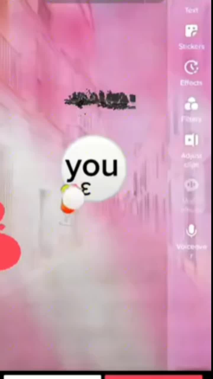 @inceiryz_hate_animals