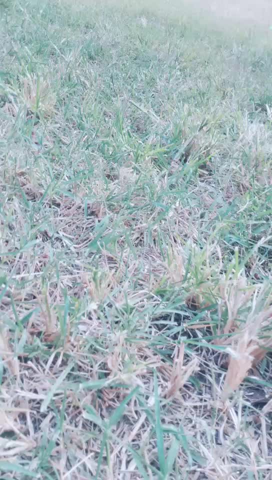 @Sude &ouml;zt&uuml;rk♡