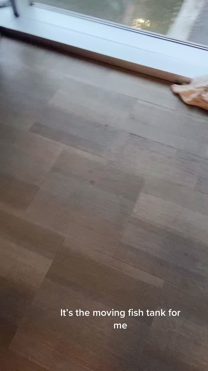 @hblazzy