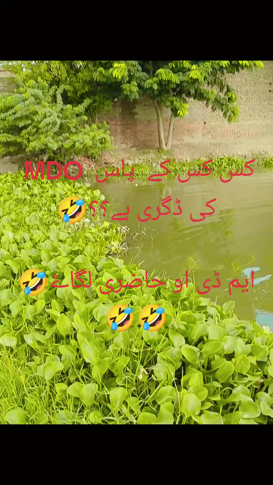 @✖Ɱའ⚡ 𝔇𝔥𝔦𝔩𝔩𝔬𝔫🥷