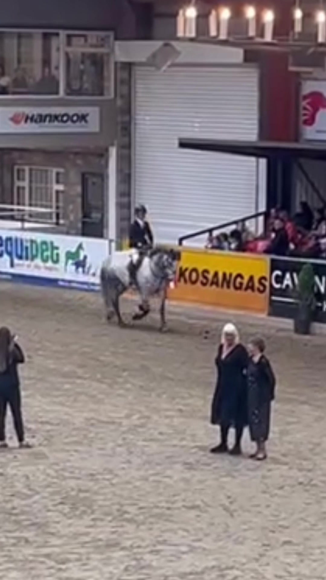 @Aoife haines eventing