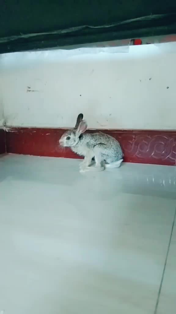@maruthuganesh