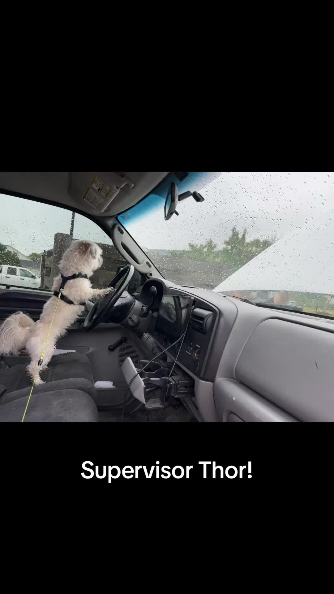 @Thor’s_adventures