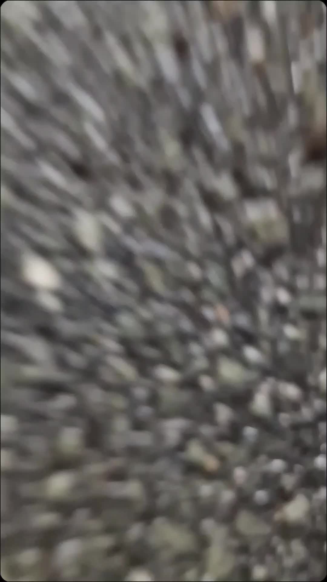 @Daniel92