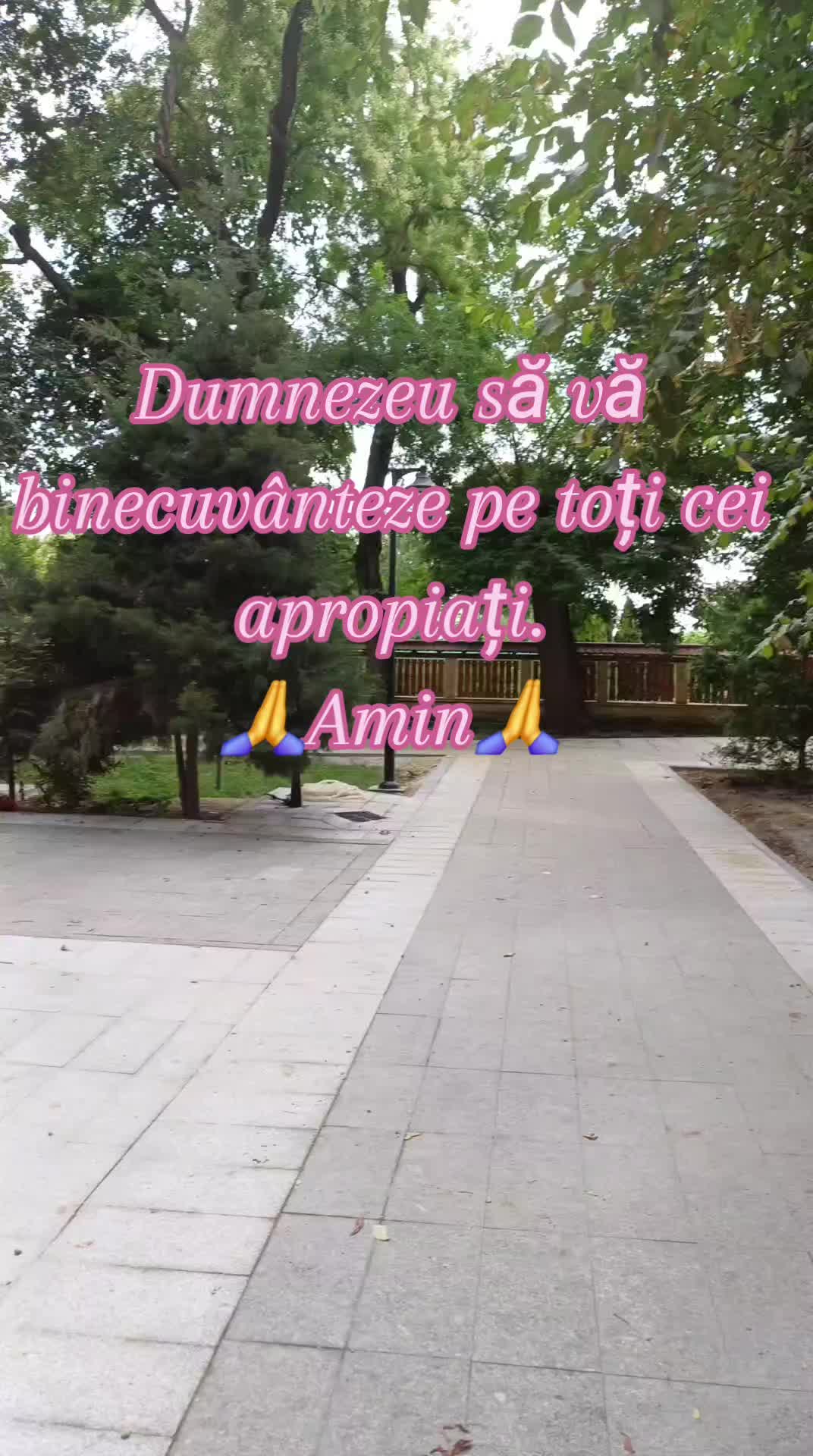 @Vizy.Vizireanu Stop Violenta