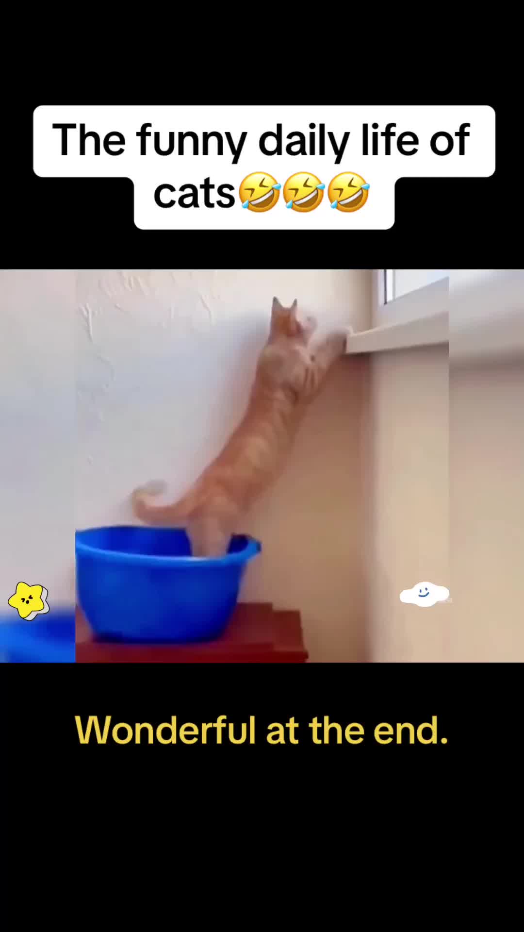 @Cute Pets😻