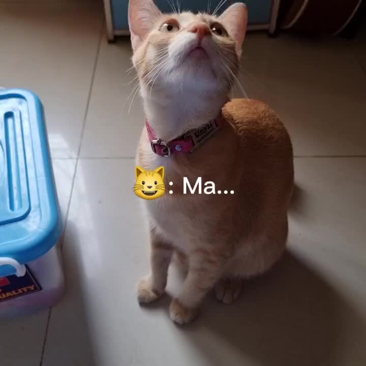 @Mimi