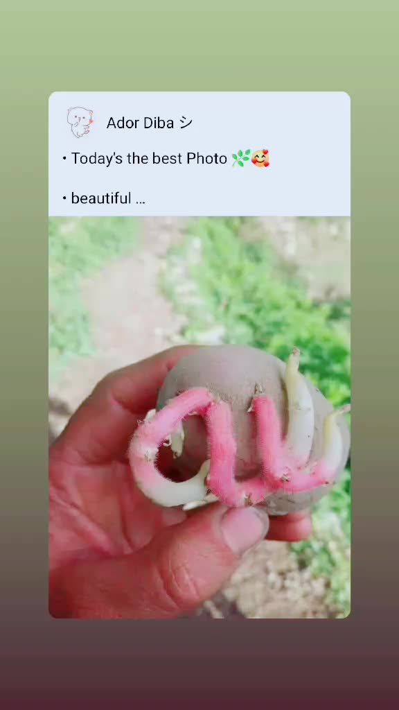 @muhammadnasirnas7