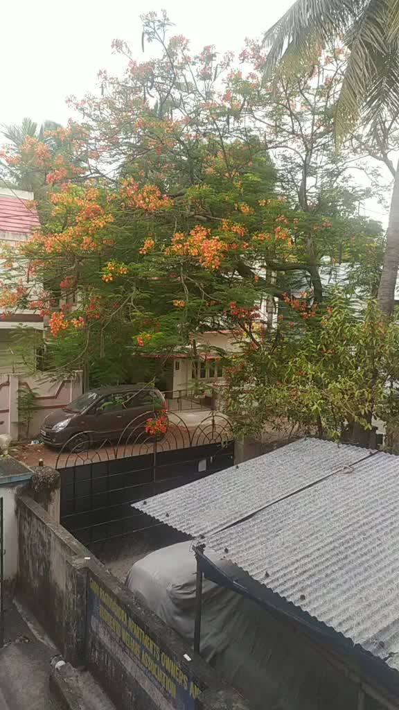 @user964748491249