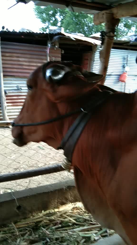 @भागवत आढाव