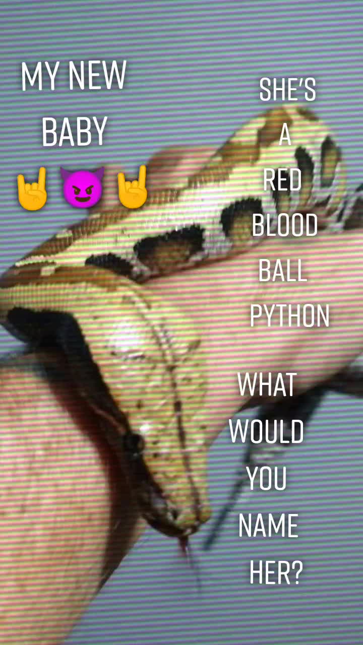 @demonmagick