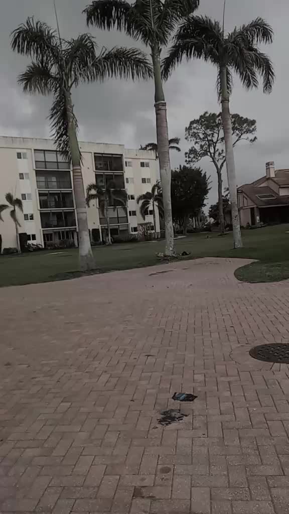 @deyvy