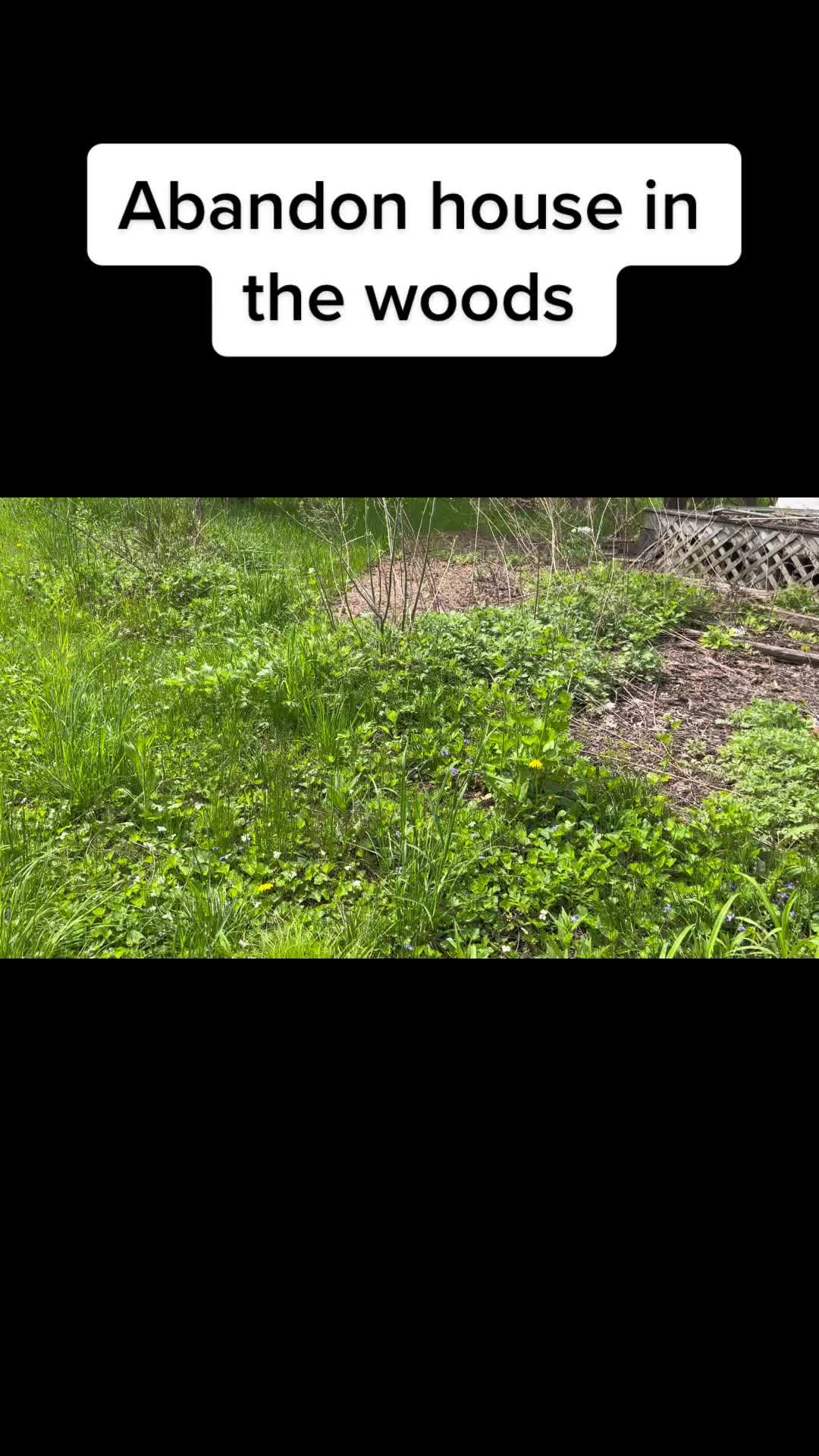 @Herb