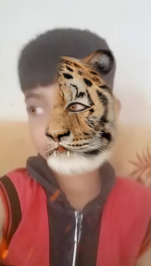 @Rajubhai Khachar