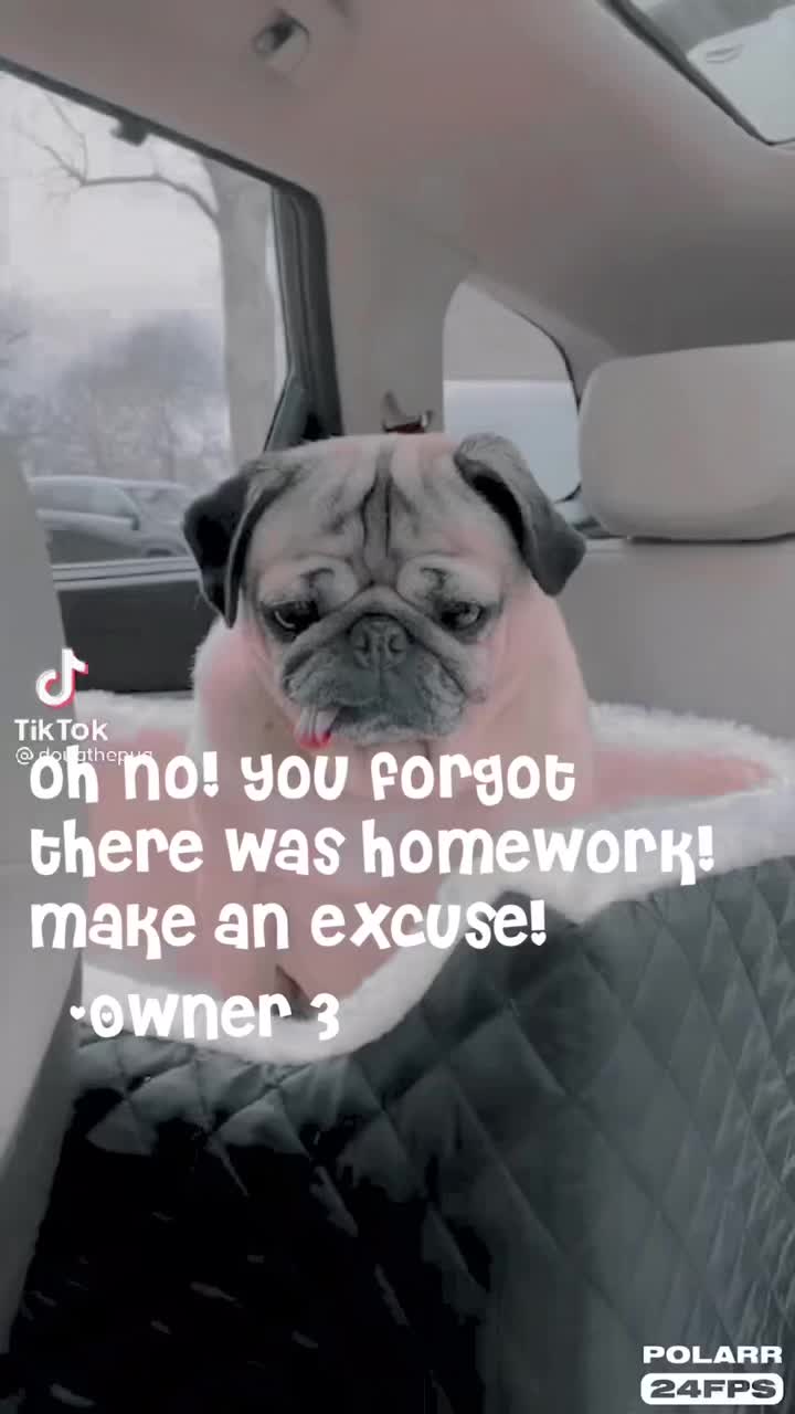 @Pugszys