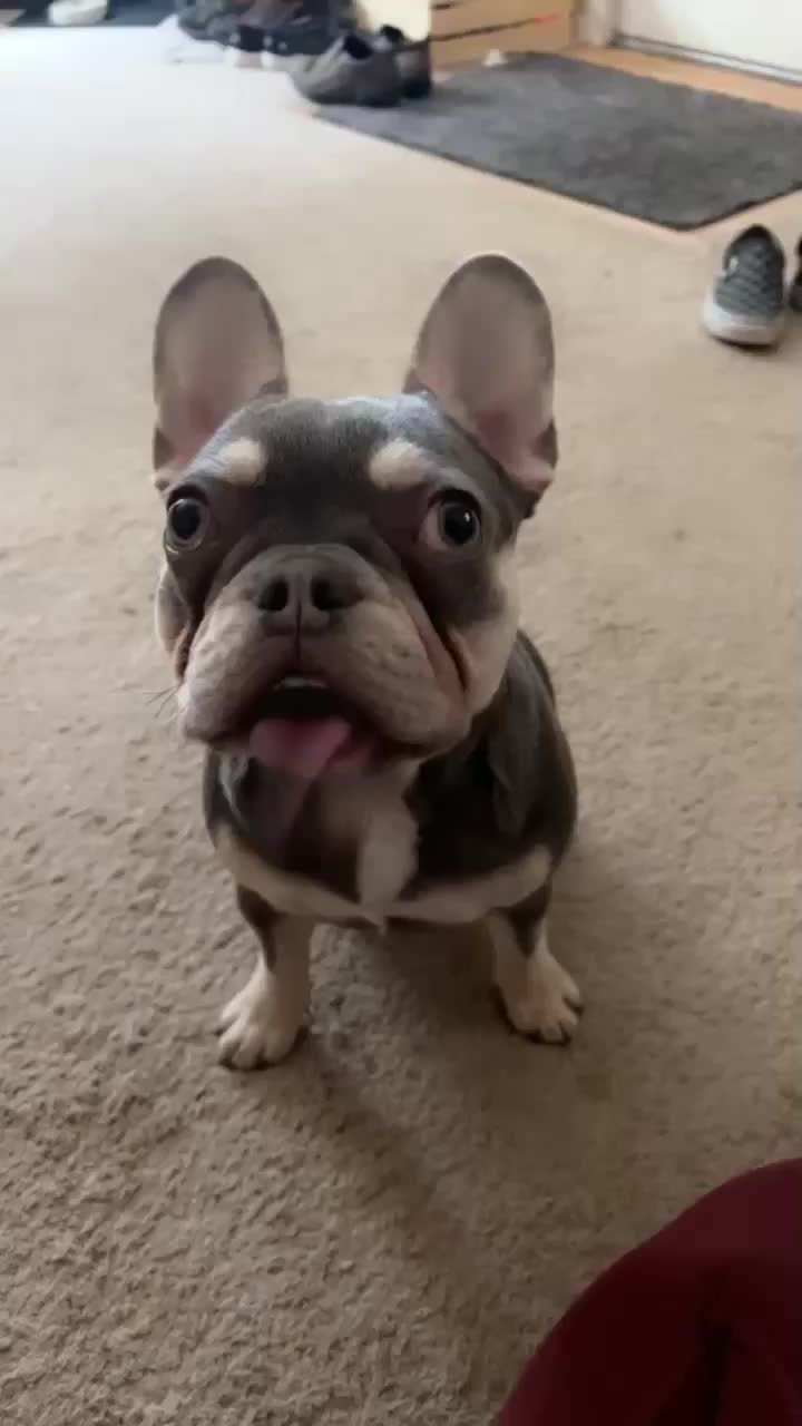 @AdventuresofMumford