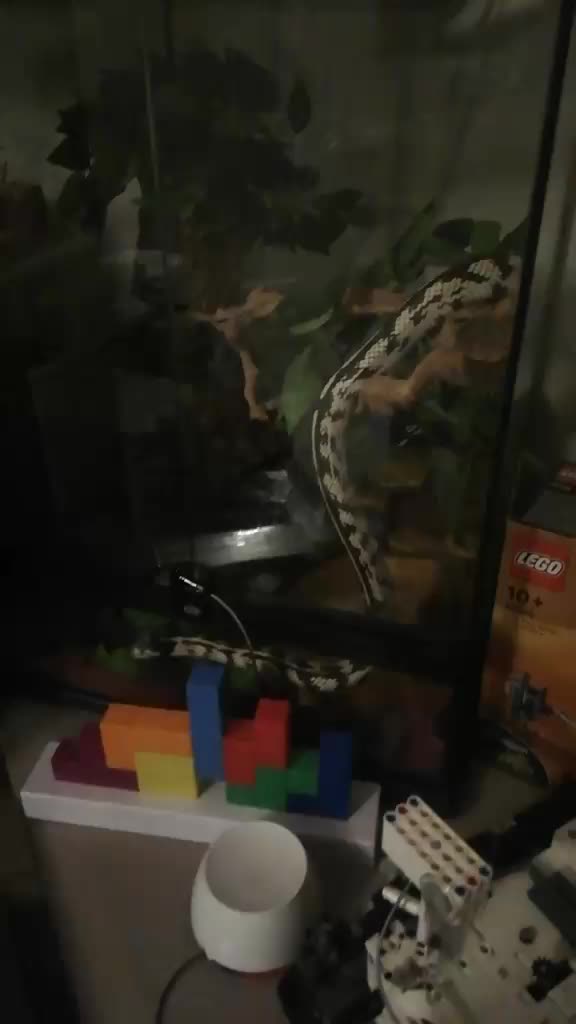 @JotaRoyaku