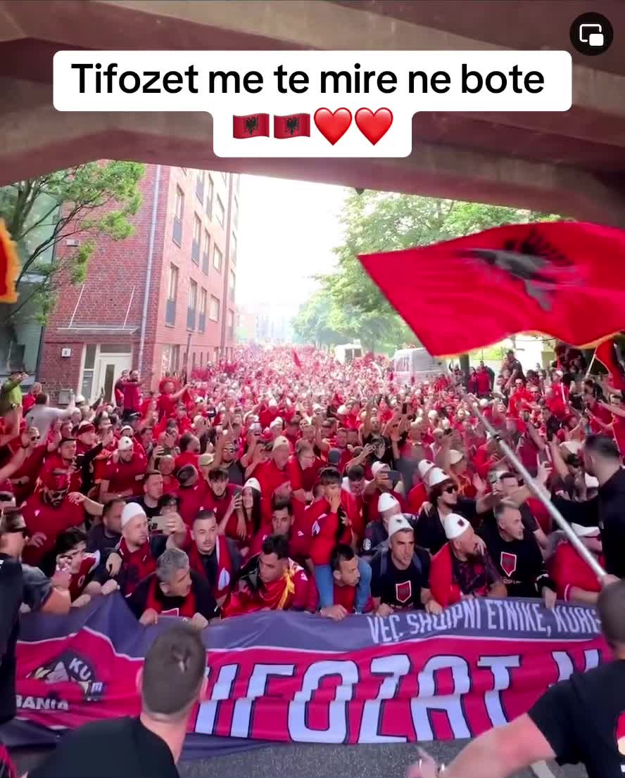 @tiktokalbs_2024