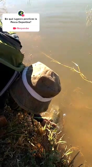 @soy 🐟SALADO🎣