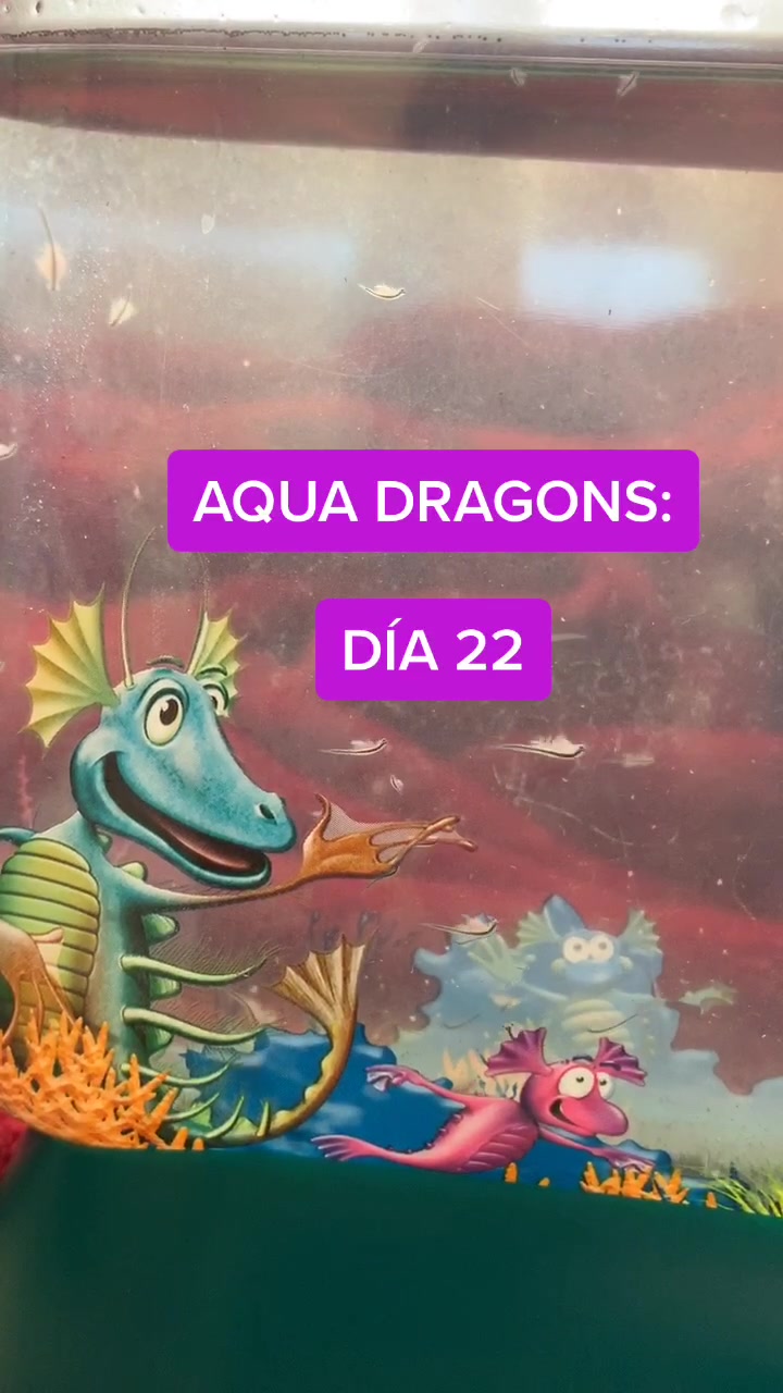 @mini.dragons