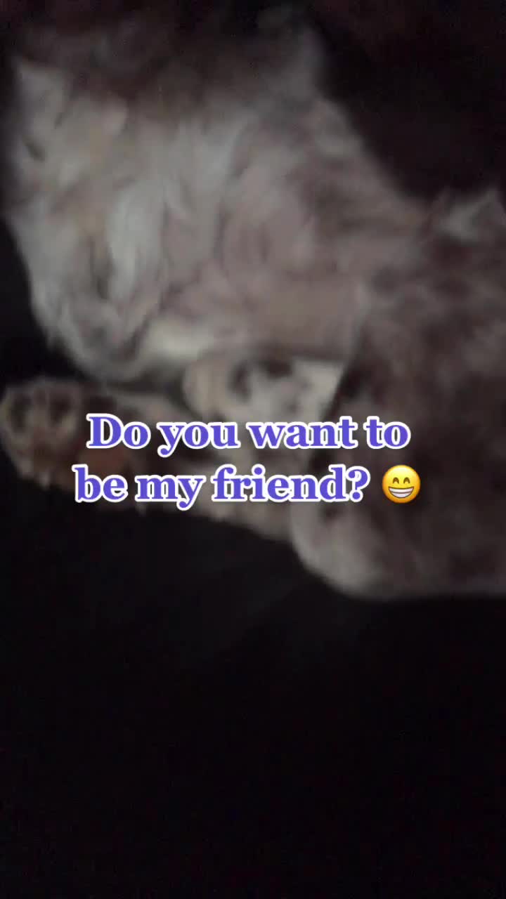 @🐶Molly🐶