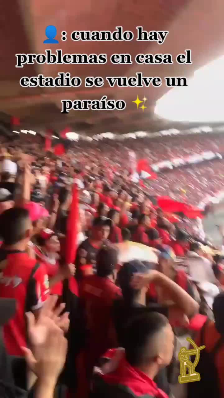 @Manuel Duarte