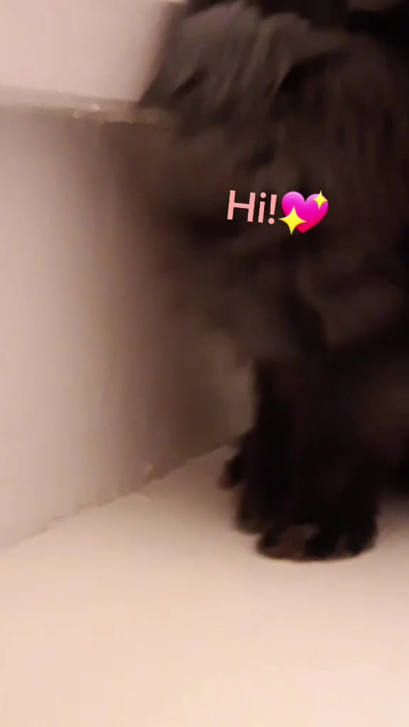 @The_Bunny_Family__