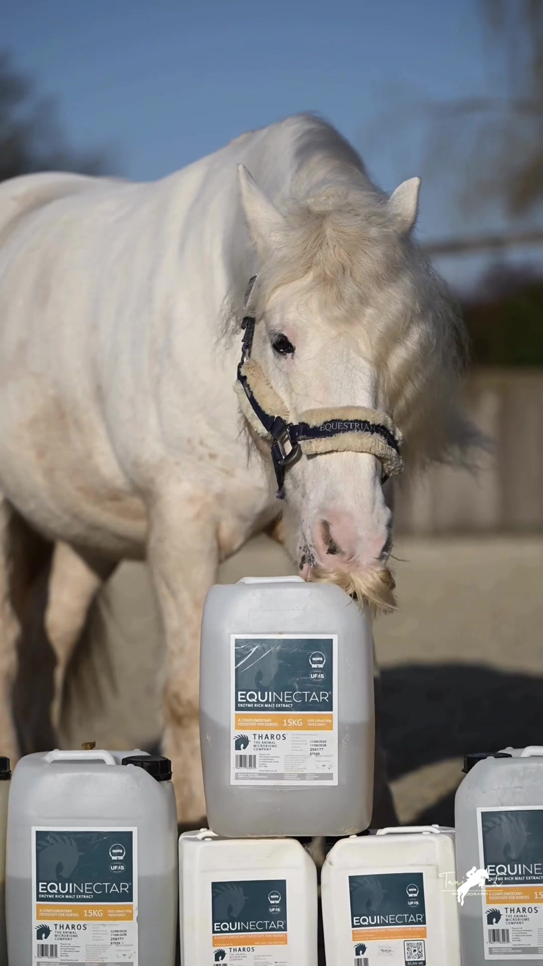 @equinectar