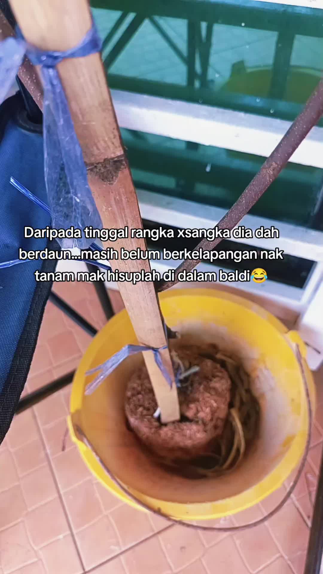 @C'ya:Guna Review Dr 🤍