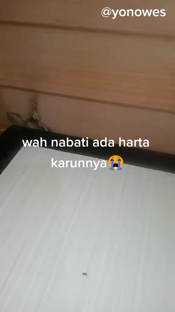 @yonowes
