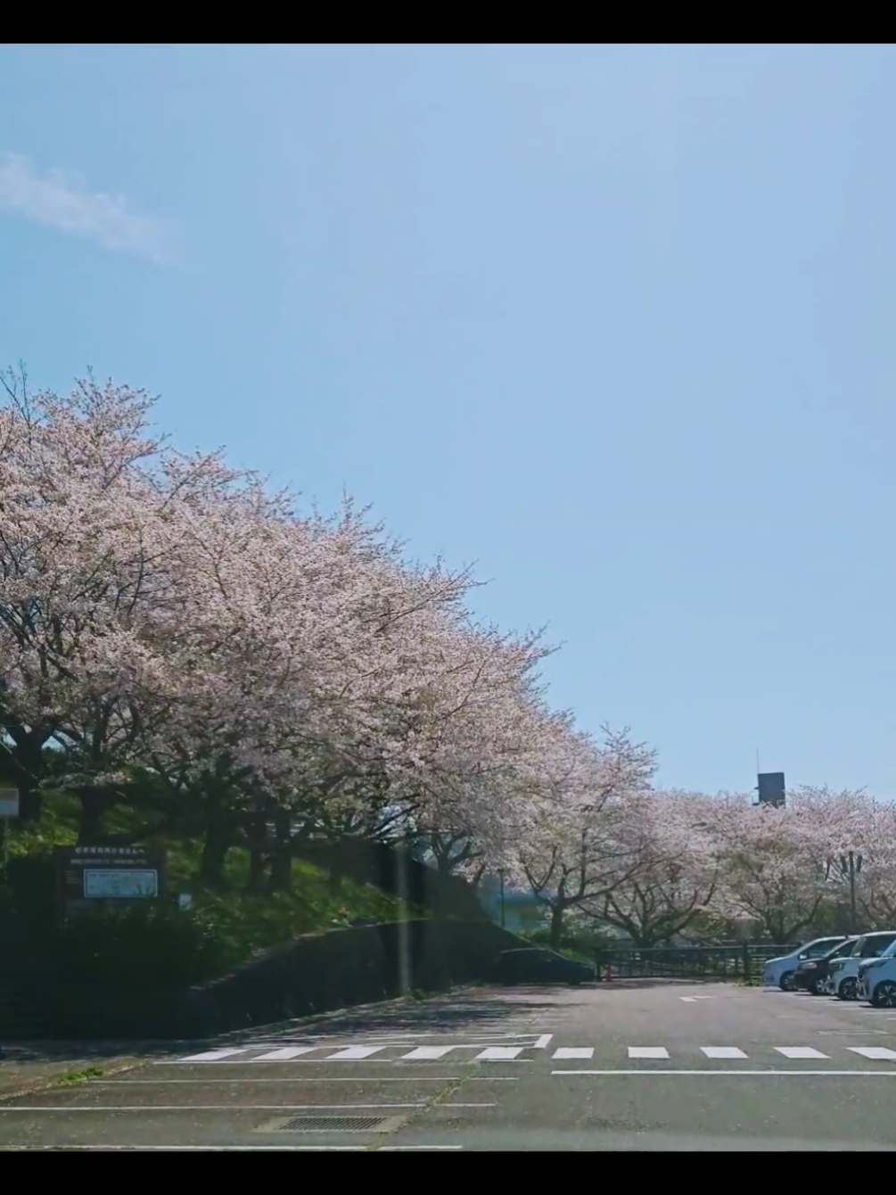 @とびはっち