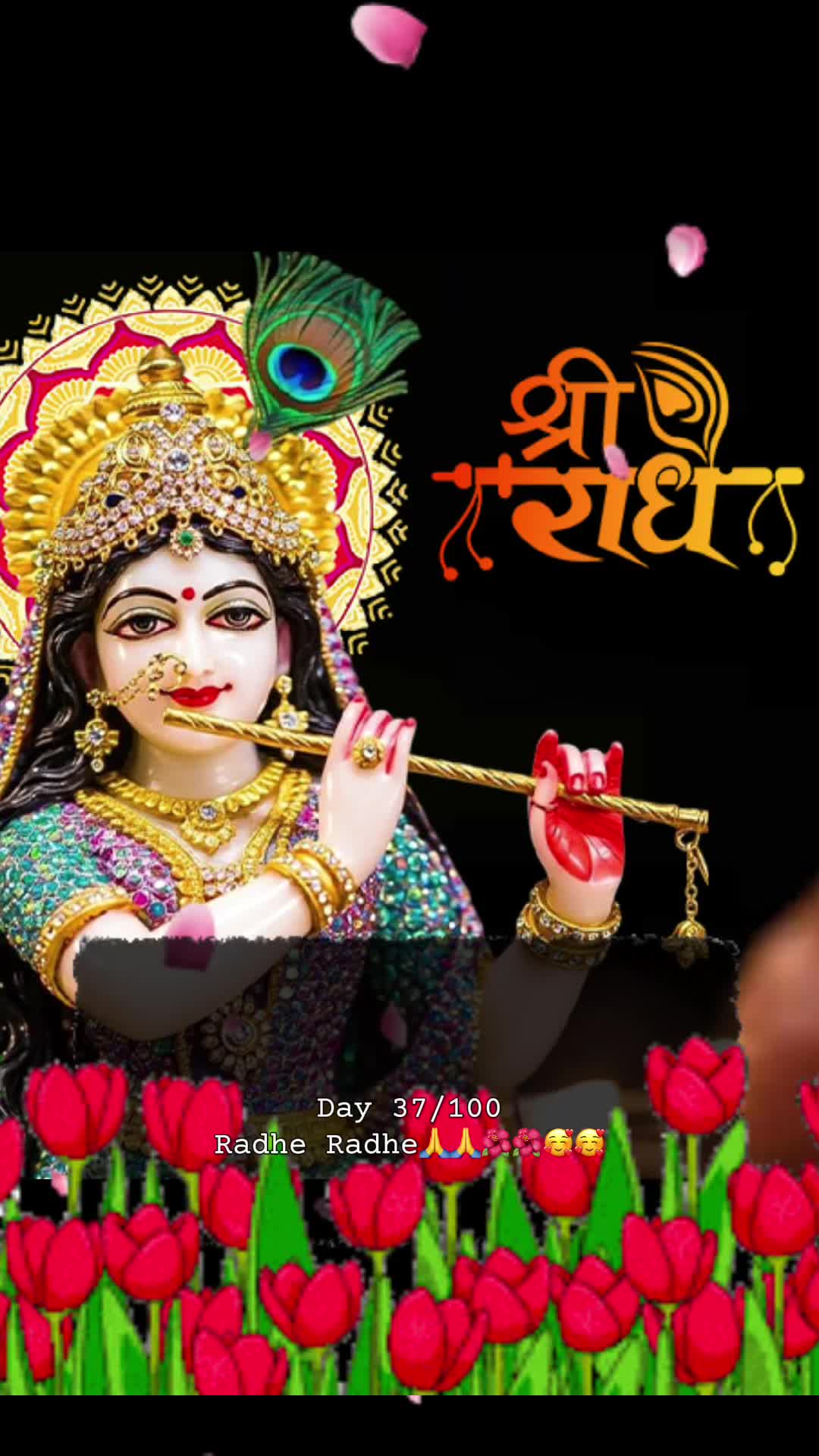 @RadheKrishna🦚🦚🙏🙏