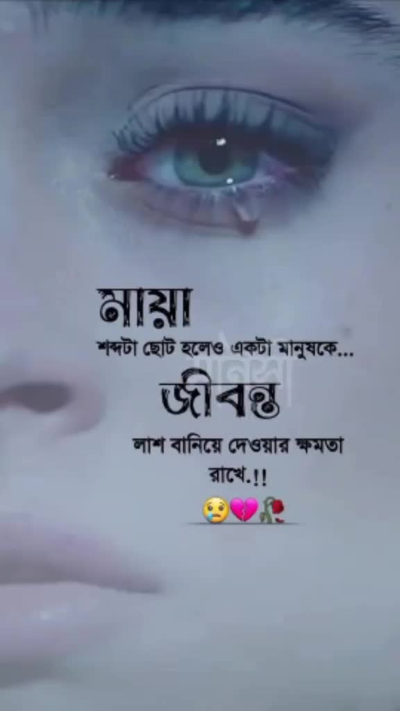 @shoyeta0