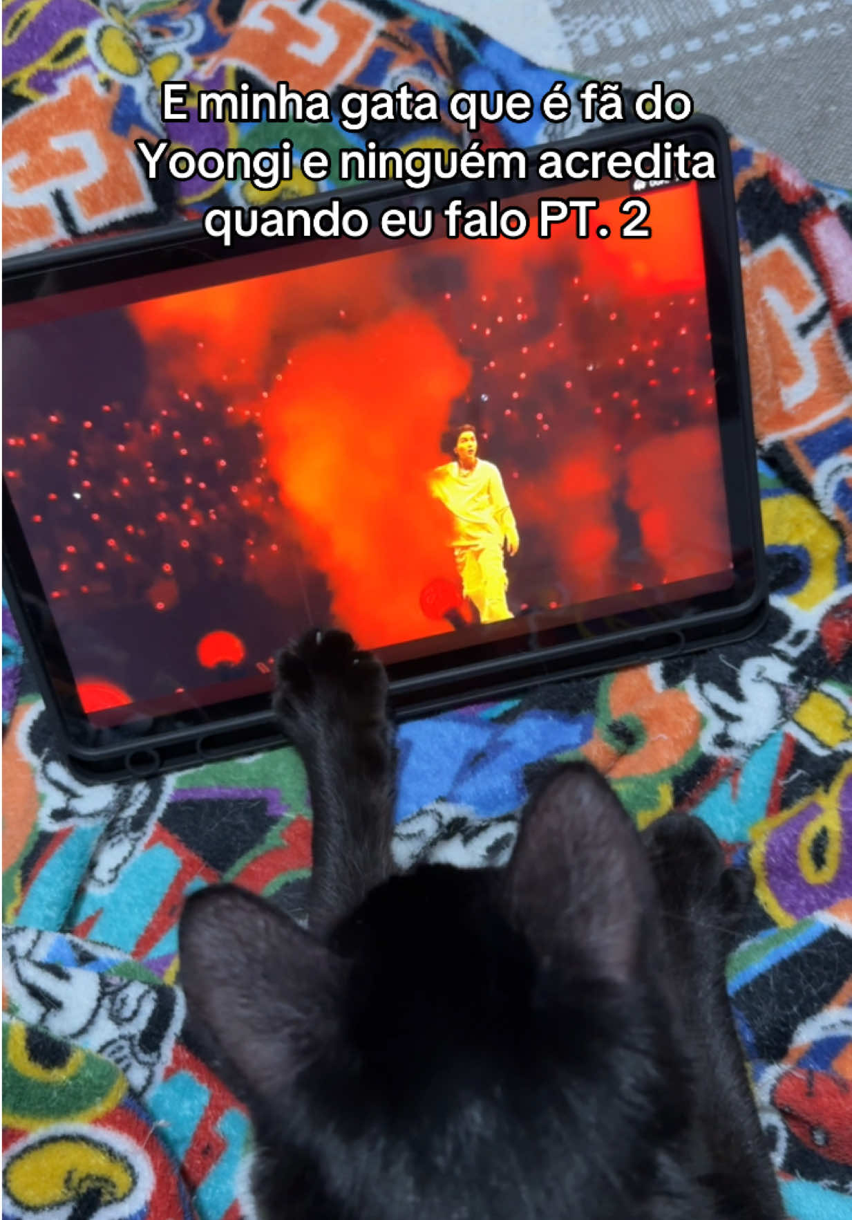 @paollaraven