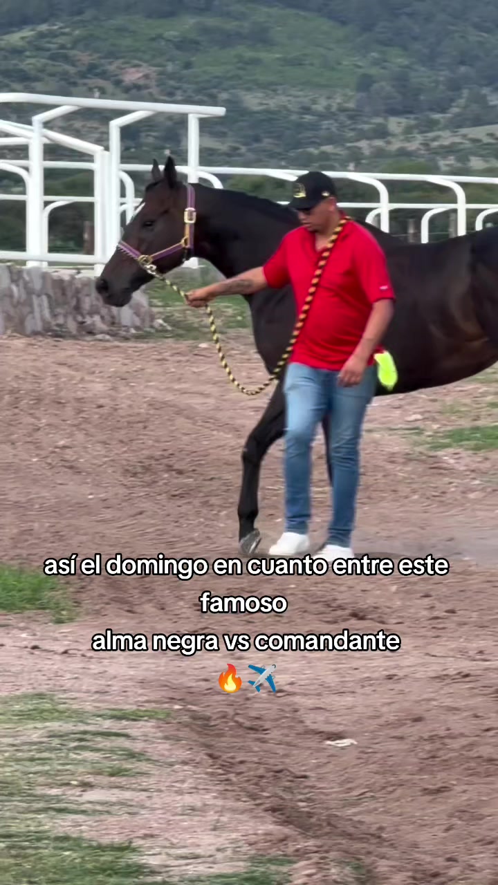 @carriles altos de jalisco🐎