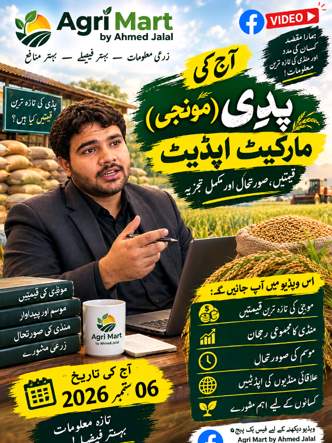 @شیخ احمد جلال منا