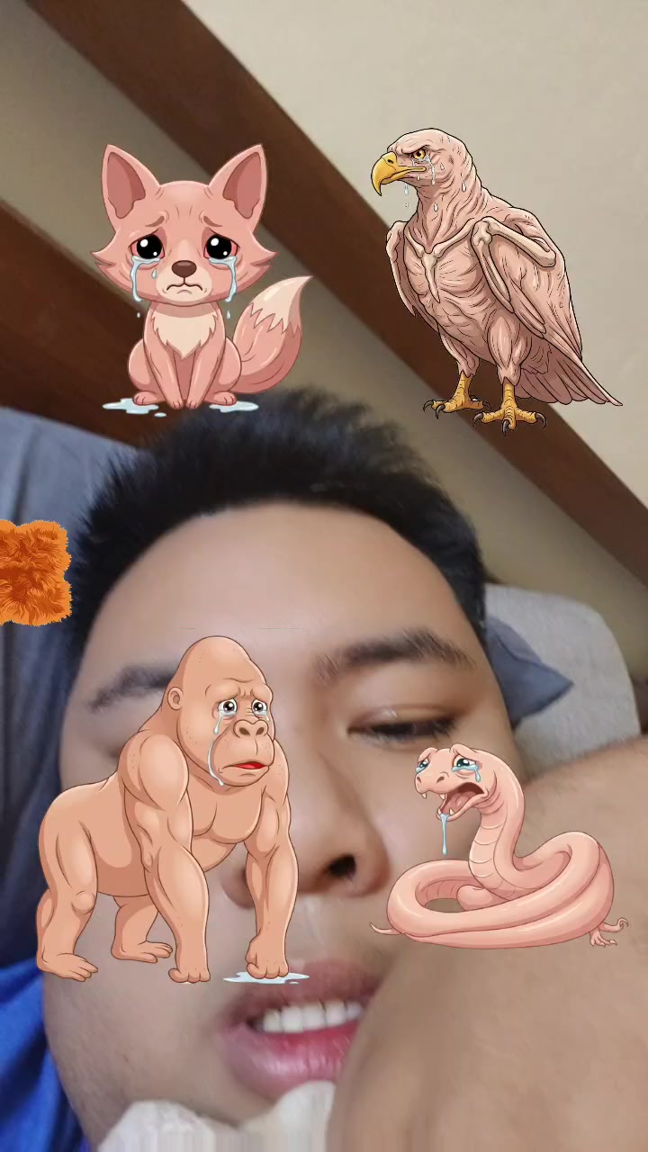 @รถดัมพ์หมาดีด
