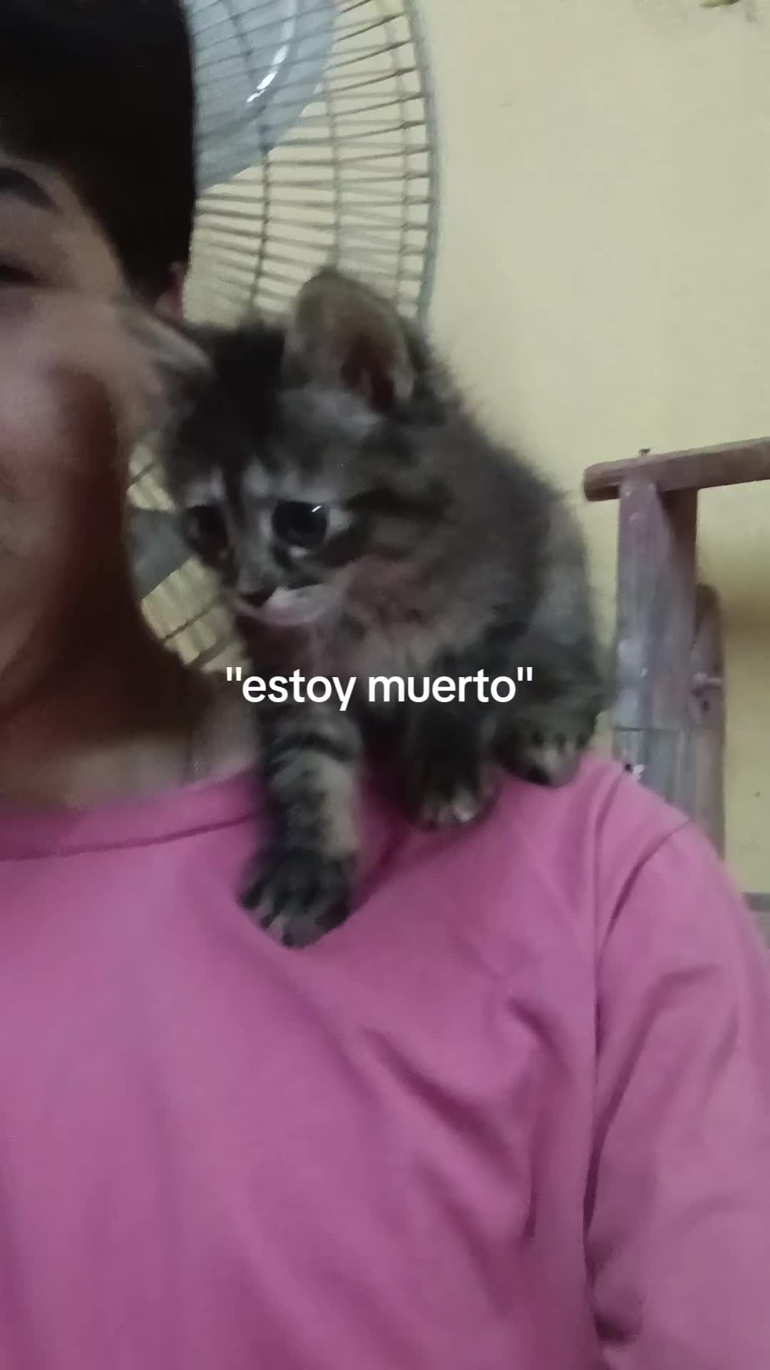 @andres