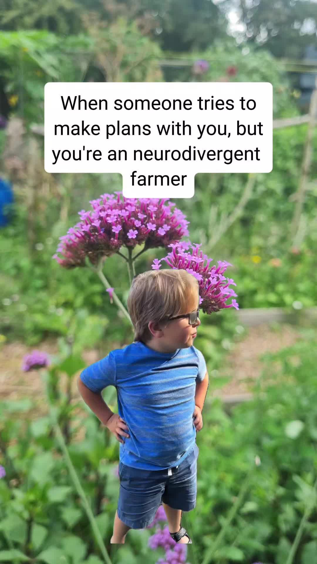 @The Nut Farm