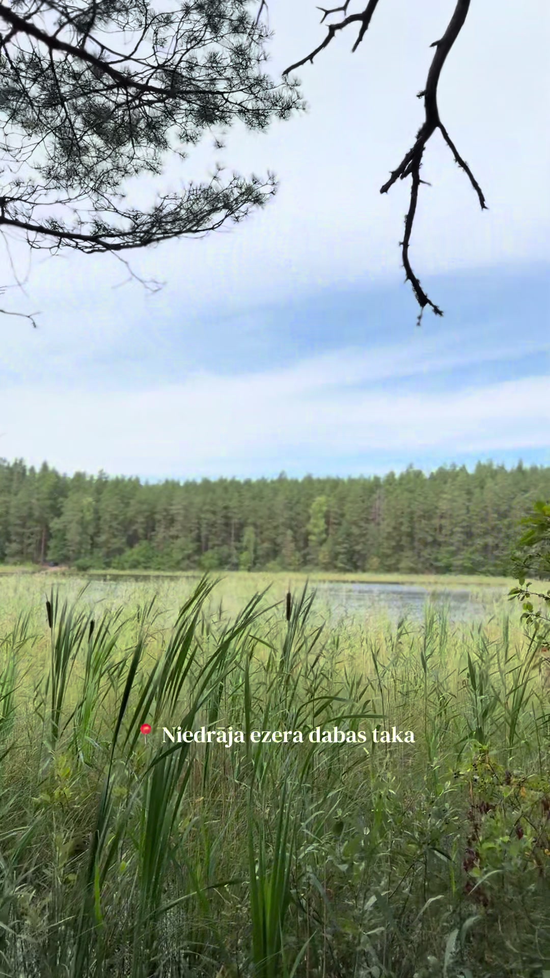 @Rita Goroveca-Butēvica