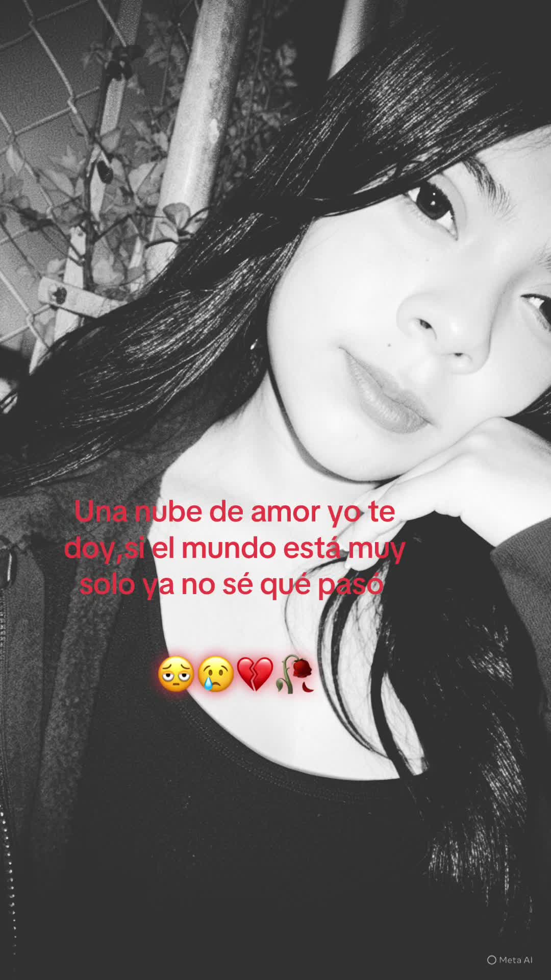 @🤍Ceci 🎀🦋💗