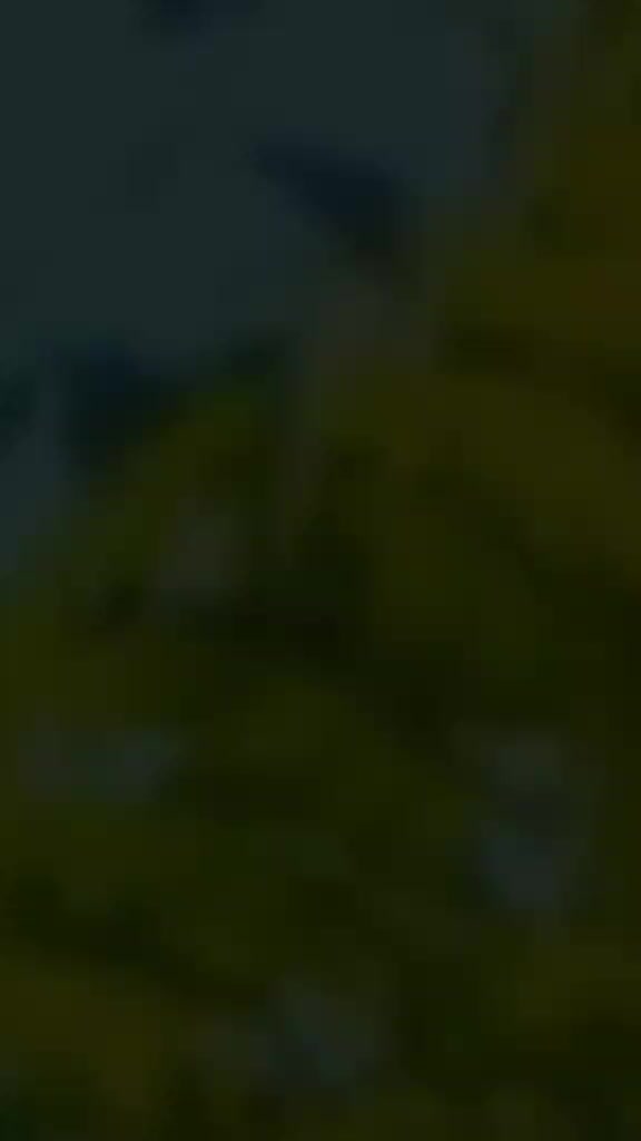 @🌴کشمیری شہزادہ😎